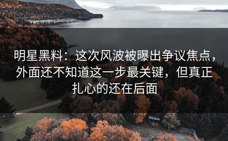 明星黑料：这次风波被曝出争议焦点，外面还不知道这一步最关键，但真正扎心的还在后面