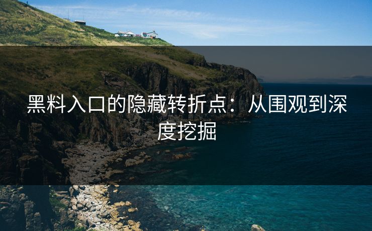 黑料入口的隐藏转折点：从围观到深度挖掘