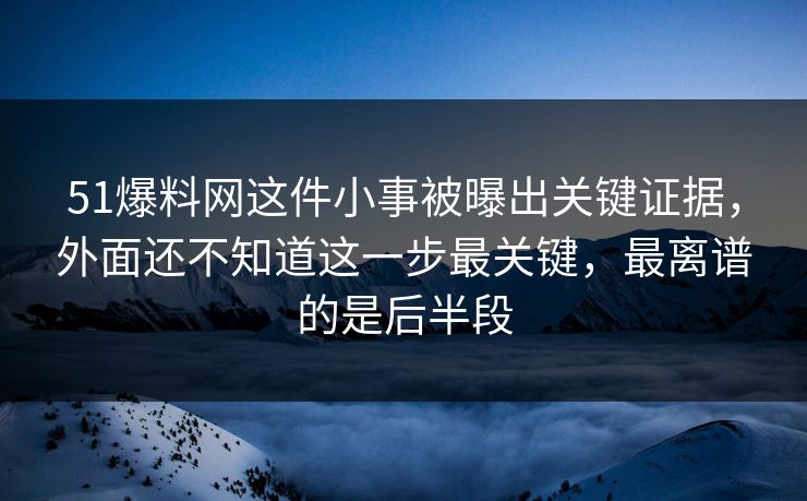 51爆料网这件小事被曝出关键证据，外面还不知道这一步最关键，最离谱的是后半段