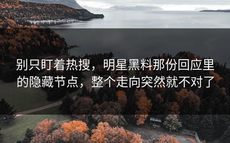 别只盯着热搜，明星黑料那份回应里的隐藏节点，整个走向突然就不对了